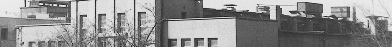 100_years2
